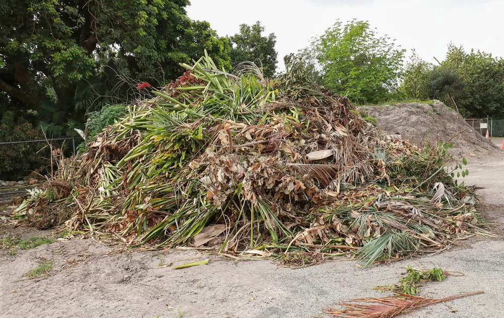 garden clearances waltham cross